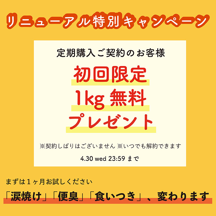 リニューアルCP