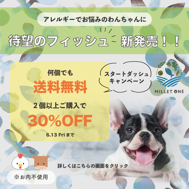 ミレワンフィッシュ