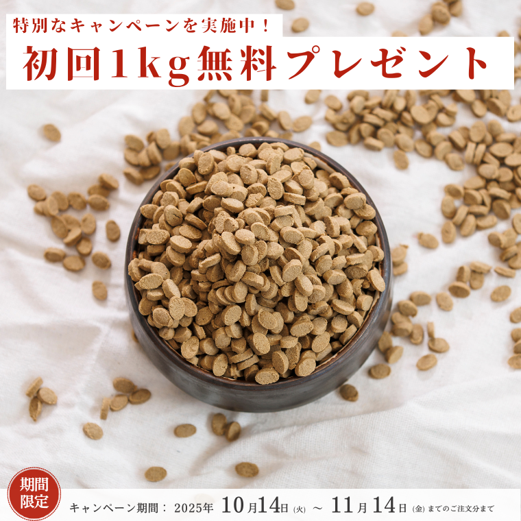初回1kgプレゼント
