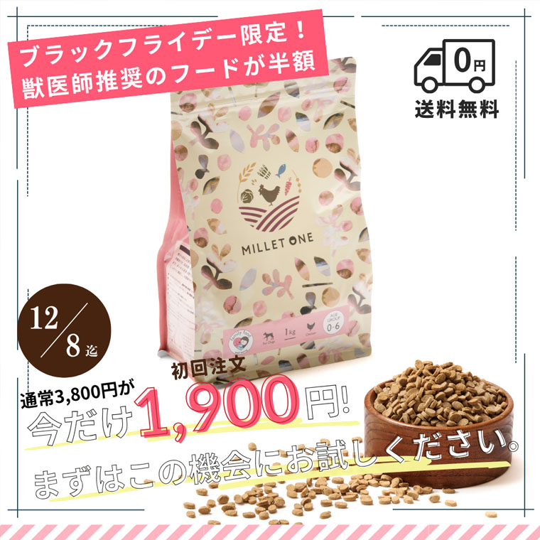 ブラックフライデー５０％OFF