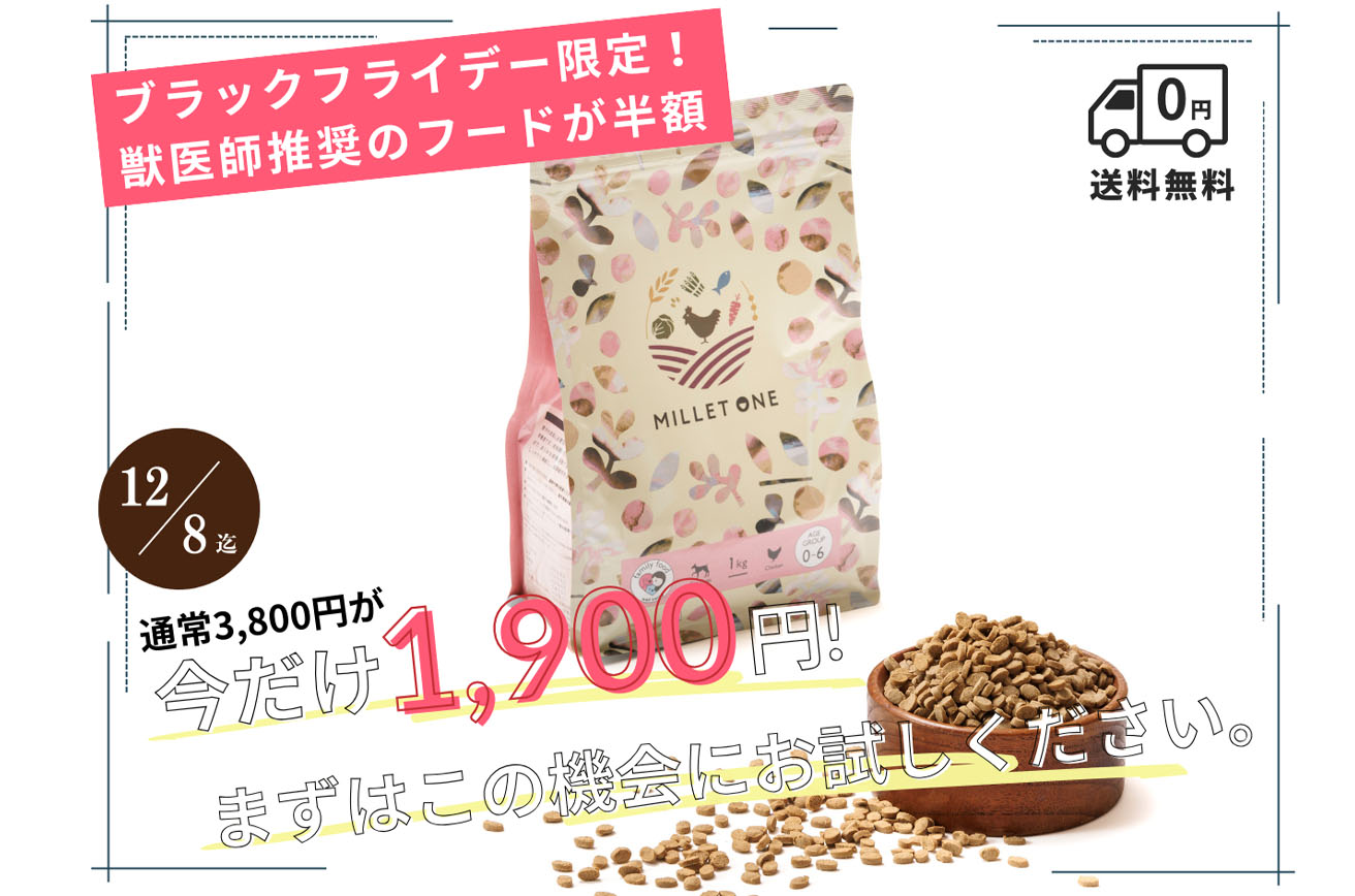 ドッグフードミレワン５０％OFFのブラックフライデー開催中！