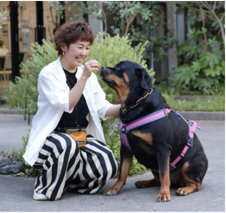 松浦奈津子とロットワイラー