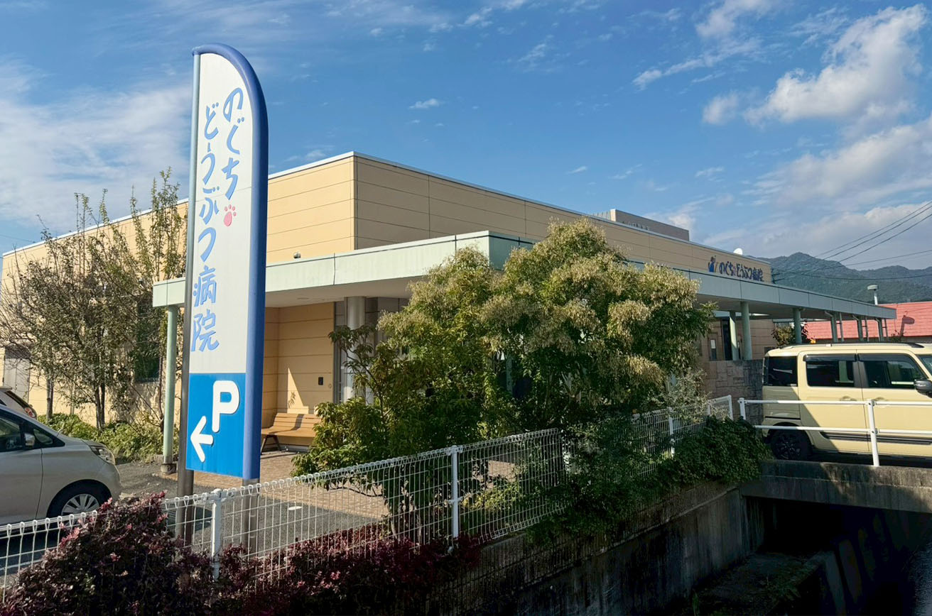 のぐち動物病院