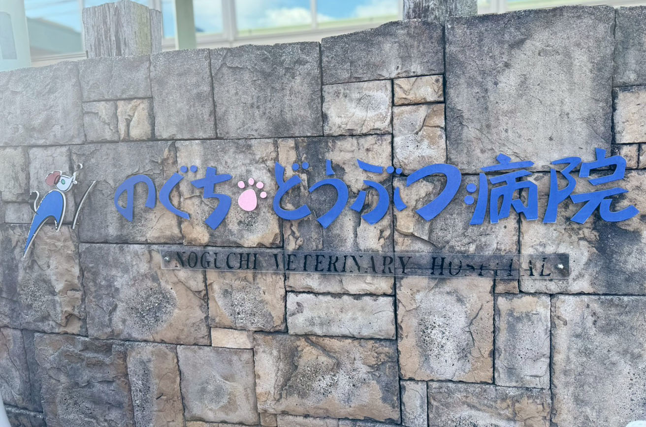 のぐち動物病院 看板