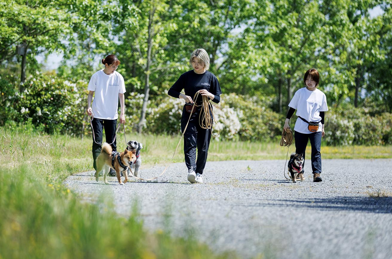 犬の保育園 ハッピーランドハレルヤ