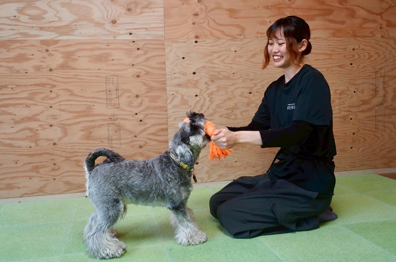 犬と宝探しゲーム