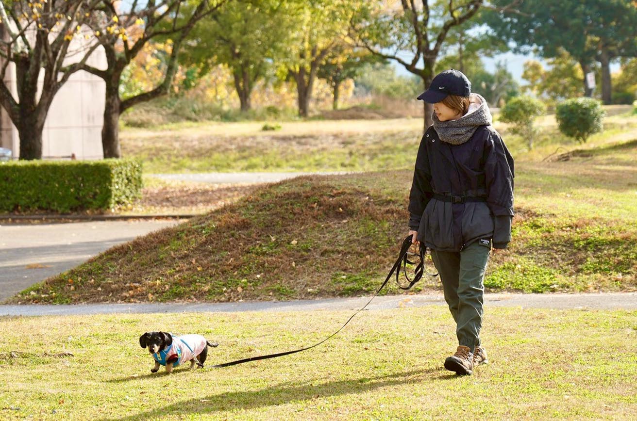 ドッグトレーナーの犬の散歩