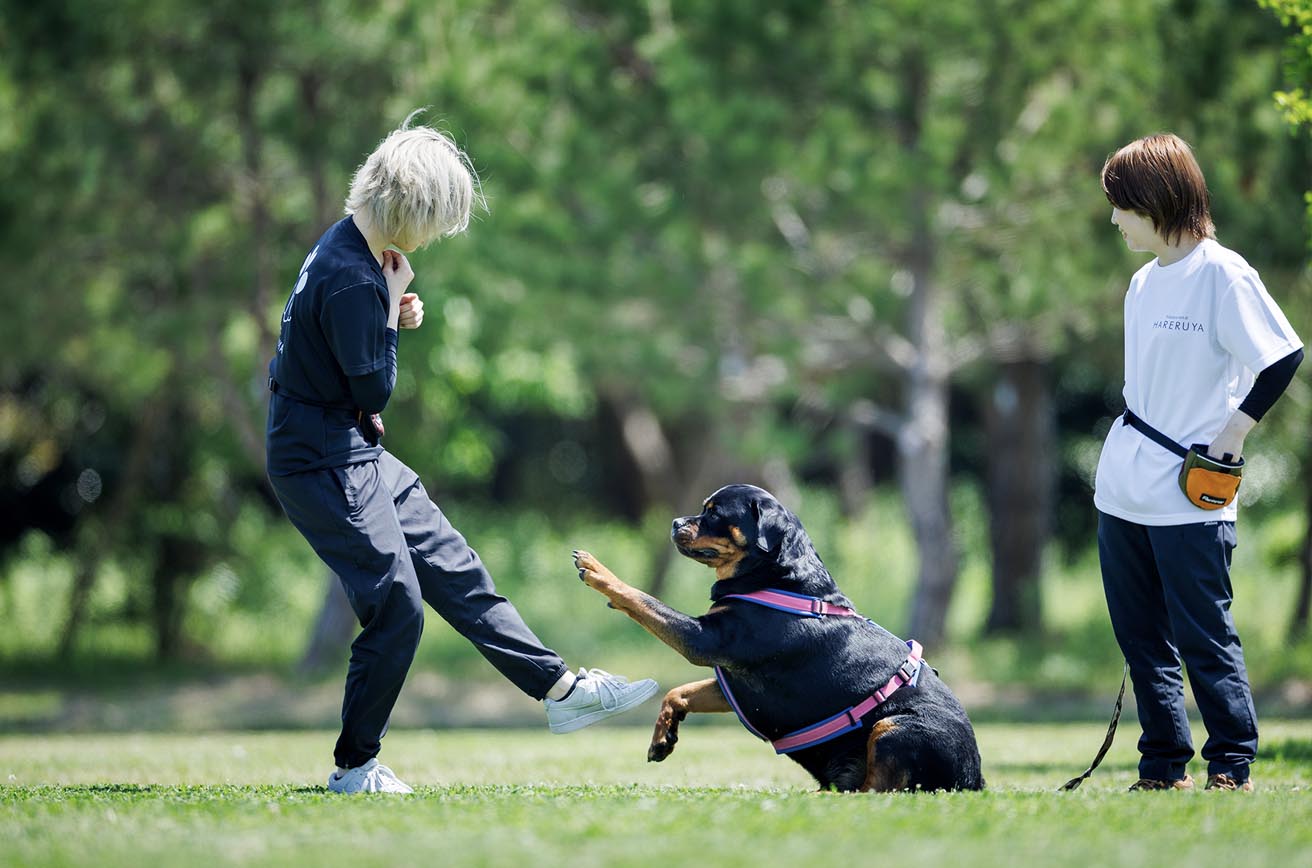 犬の保育園 ハッピーランドハレルヤ