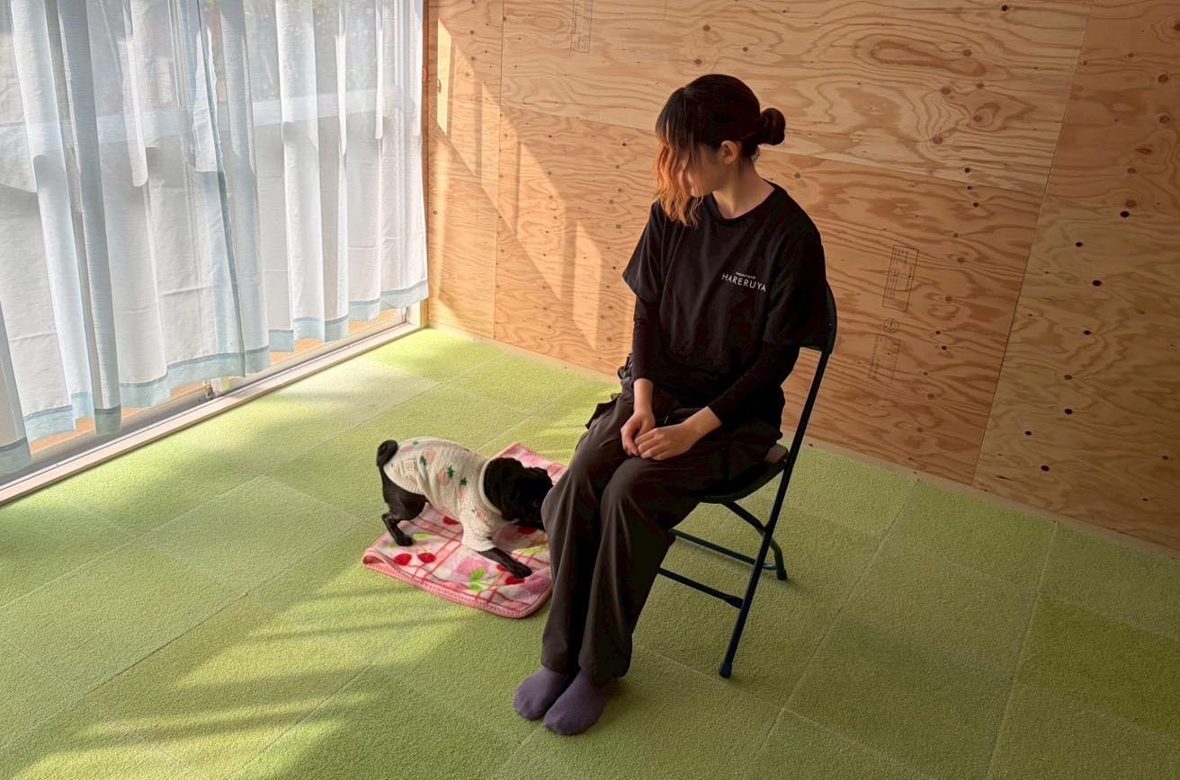 犬のストレス発散は“量”ではなく設計