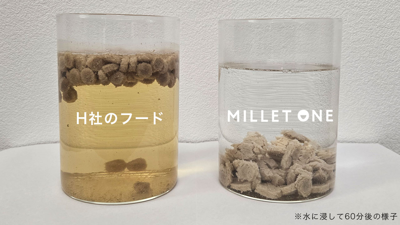 ノンオイルの比較図