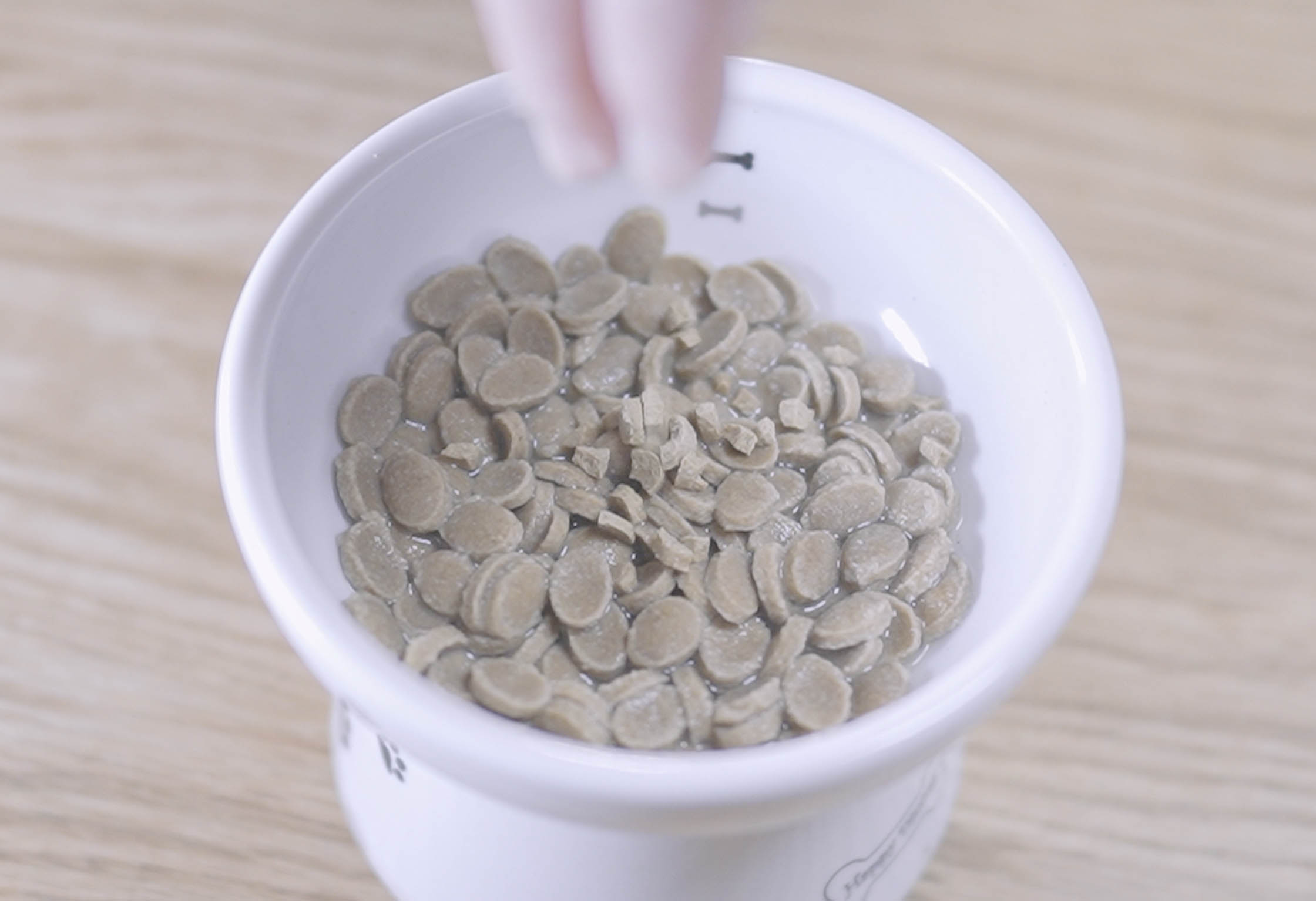 香りを楽しむ愛犬と飼い主