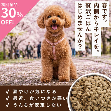 春の新生活応援キャンペーン