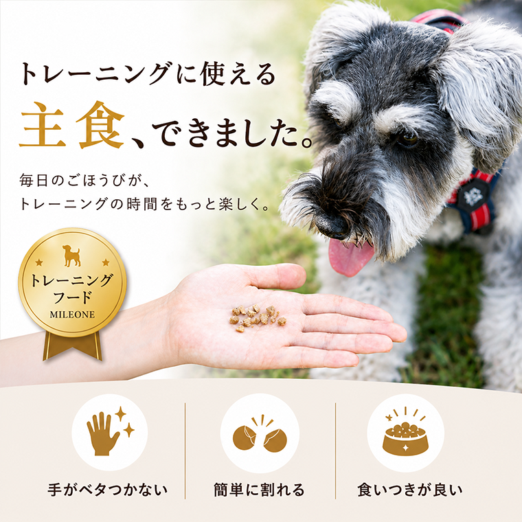 トレーニングフード