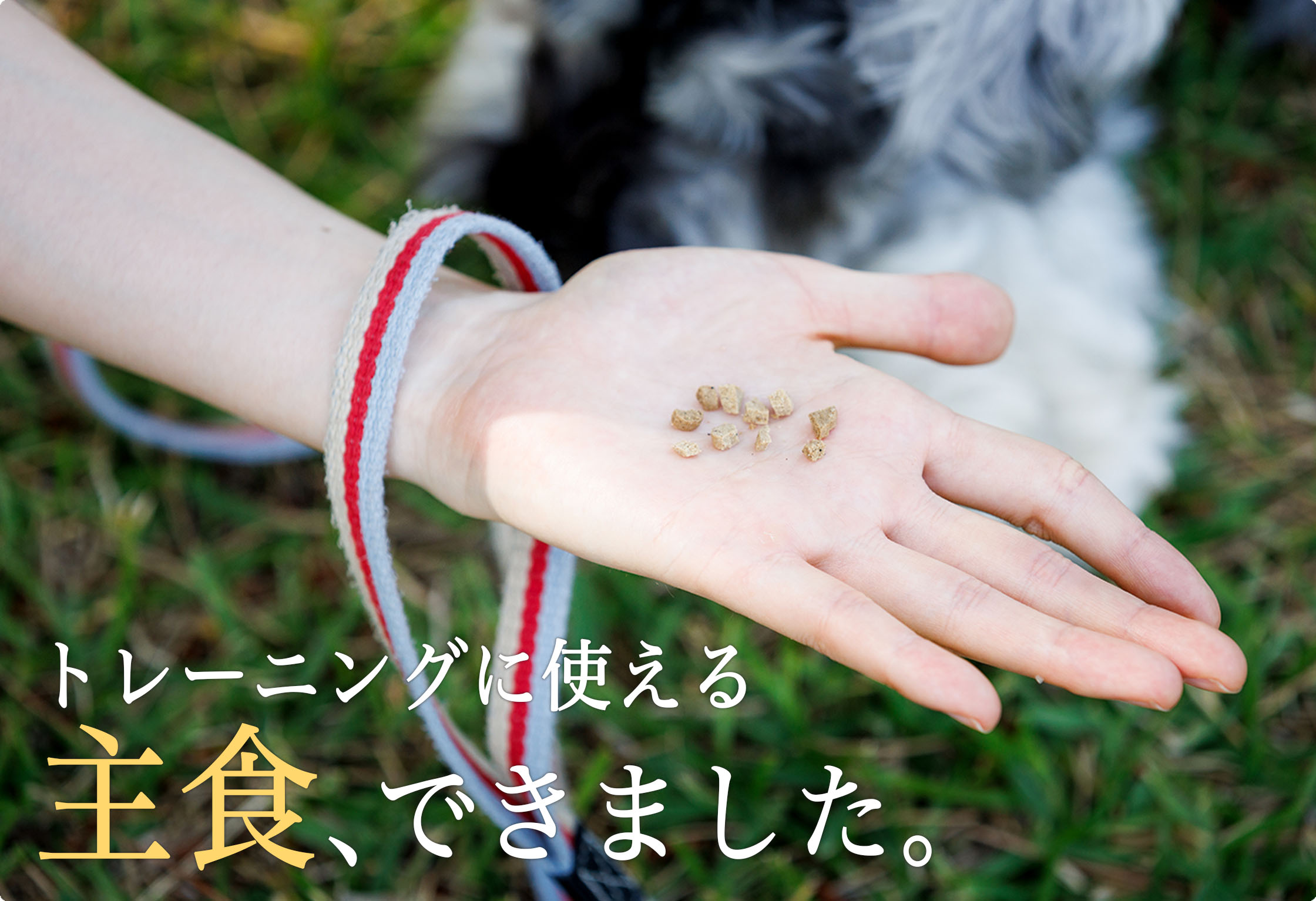 ミレワンの美味しい食べ方