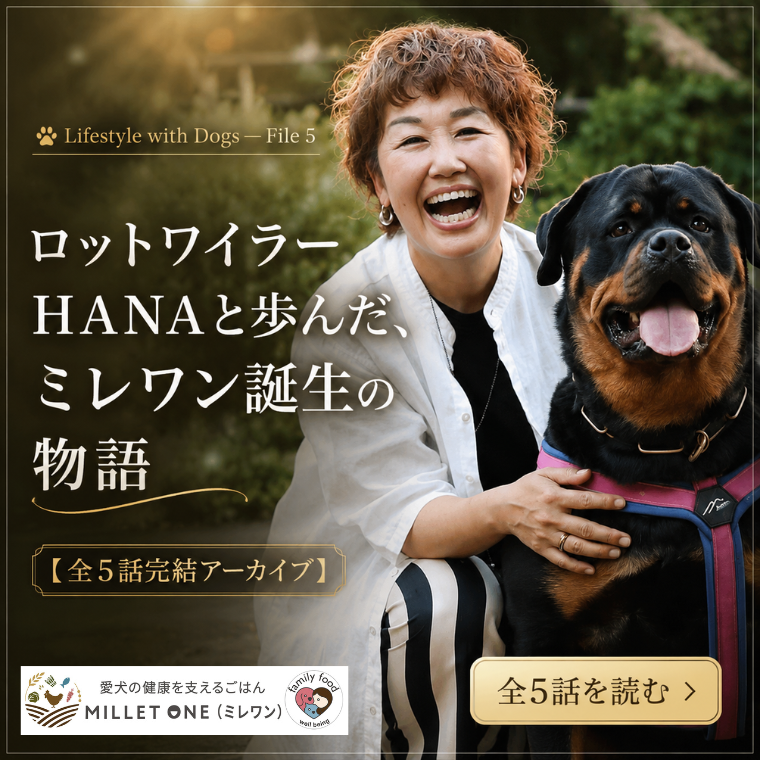 ミレワン開発ストーリー